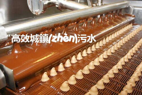 “高效城鎮(zhèn)污水處理流程，守護(hù)碧水藍(lán)天新篇章”